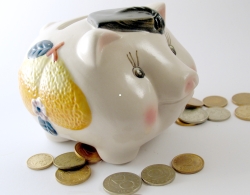 piggy-bank