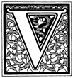 Violet War