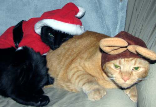 Christmas Rimmon and Zak
